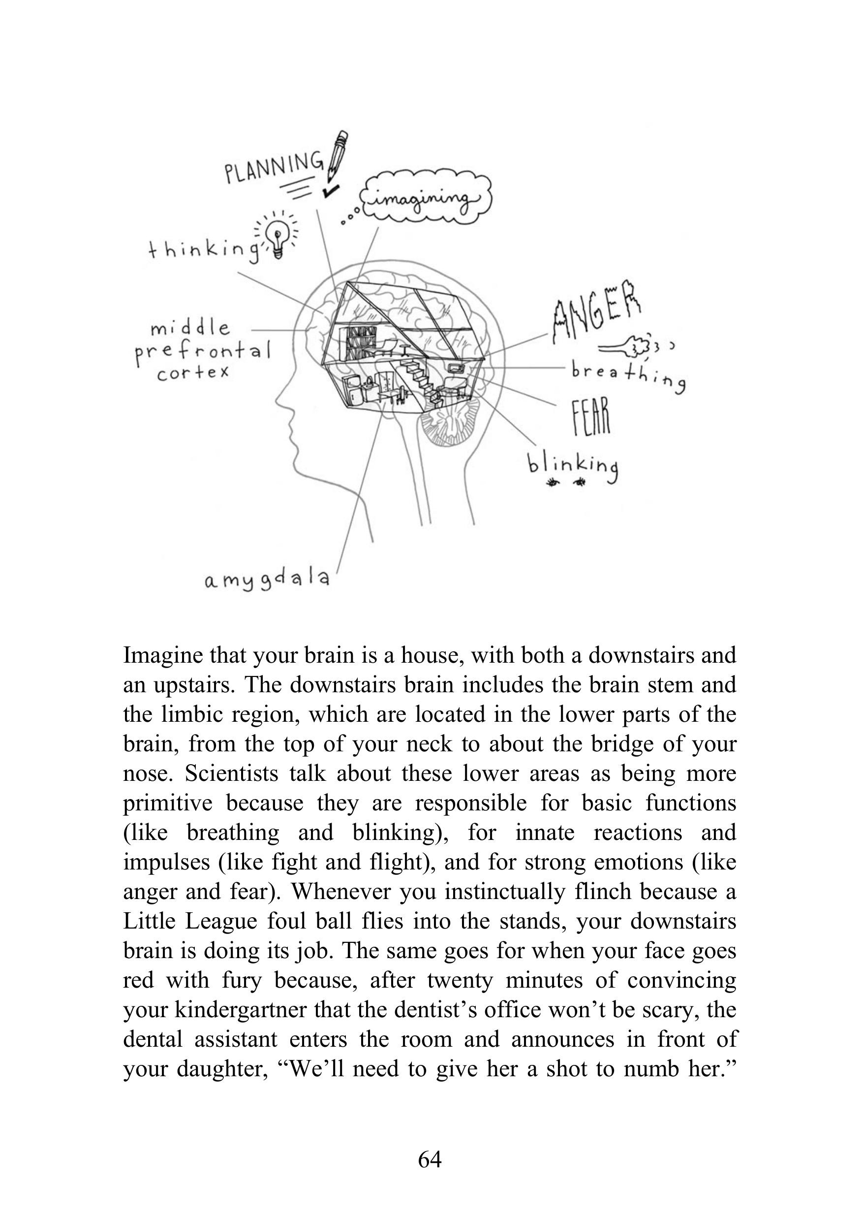 The Whole-Brain Child sayfa 64