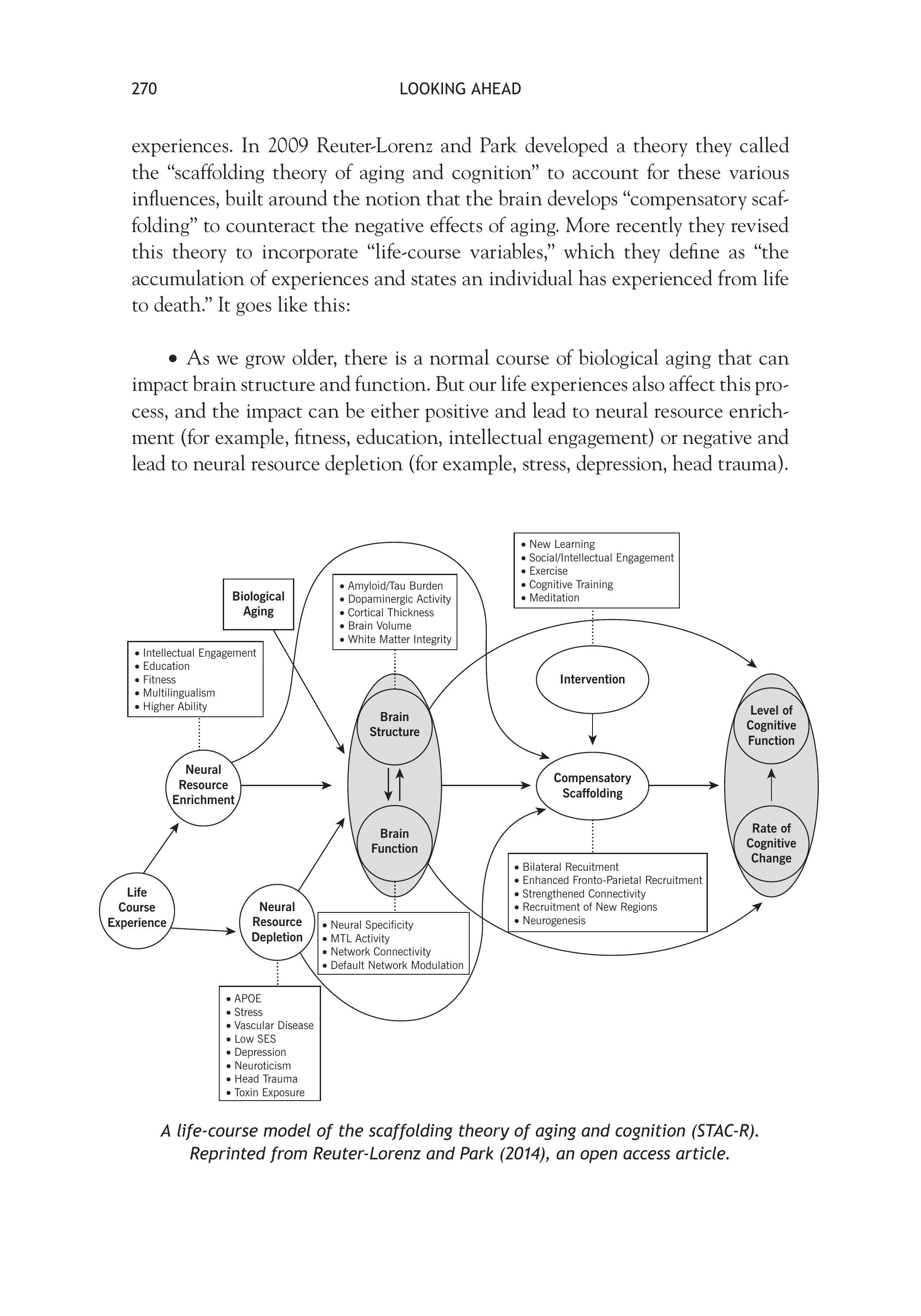 The Smart but Scattered Guide to Success sayfa 282