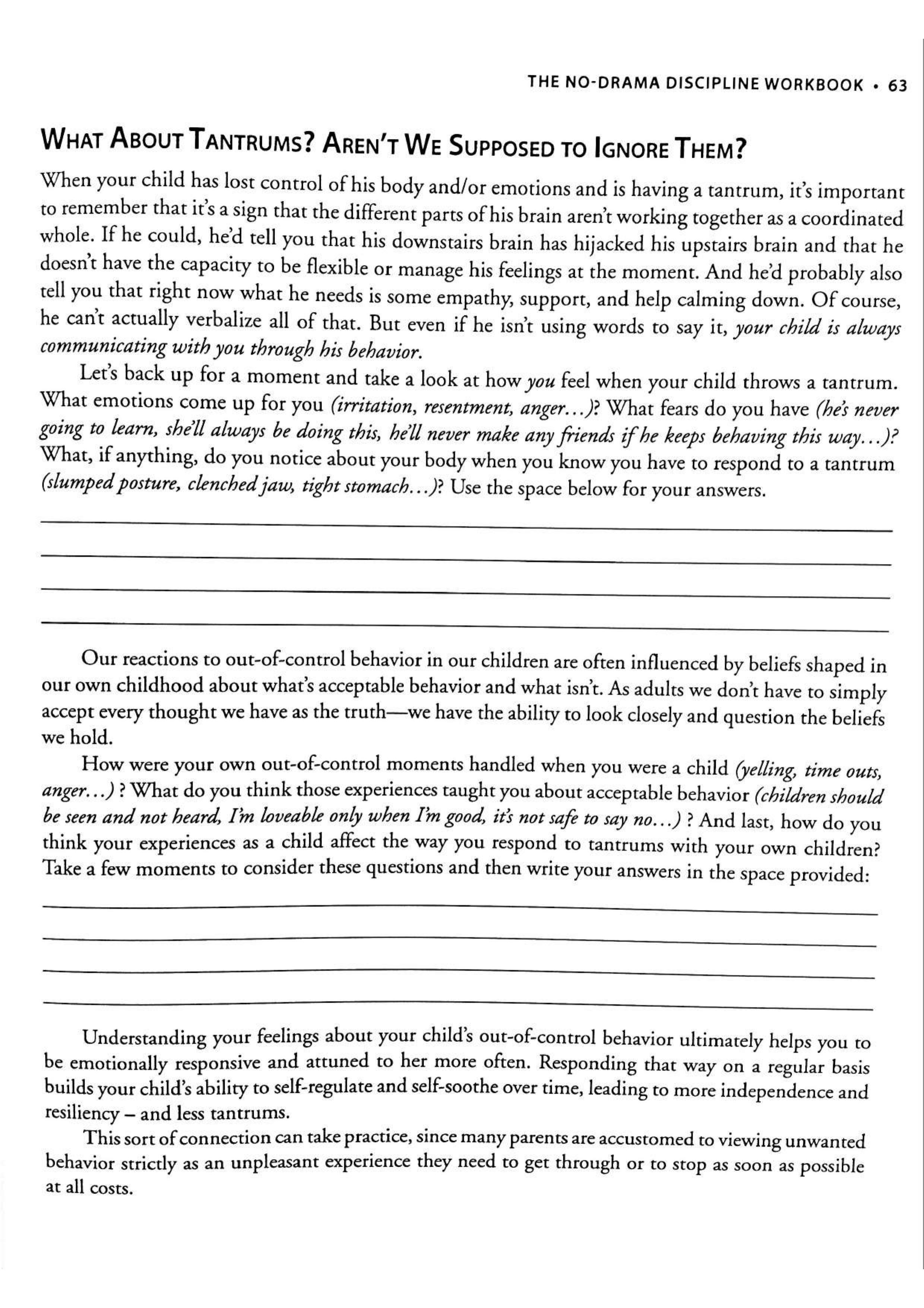 No-Drama Discipline Workbook sayfa 70