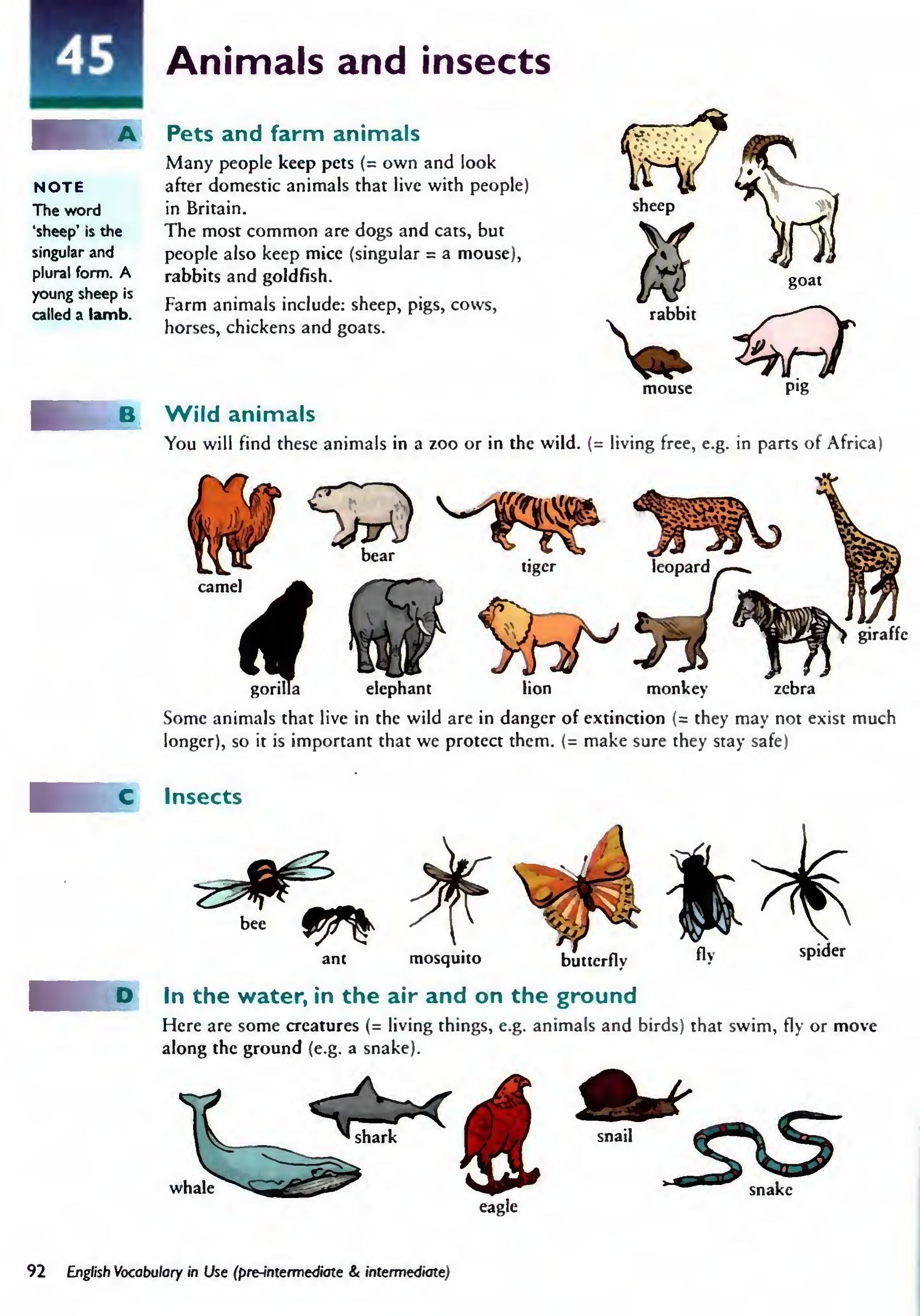 English Vocabulary in Use Pre-Intermediate and Intermediate sayfa 99