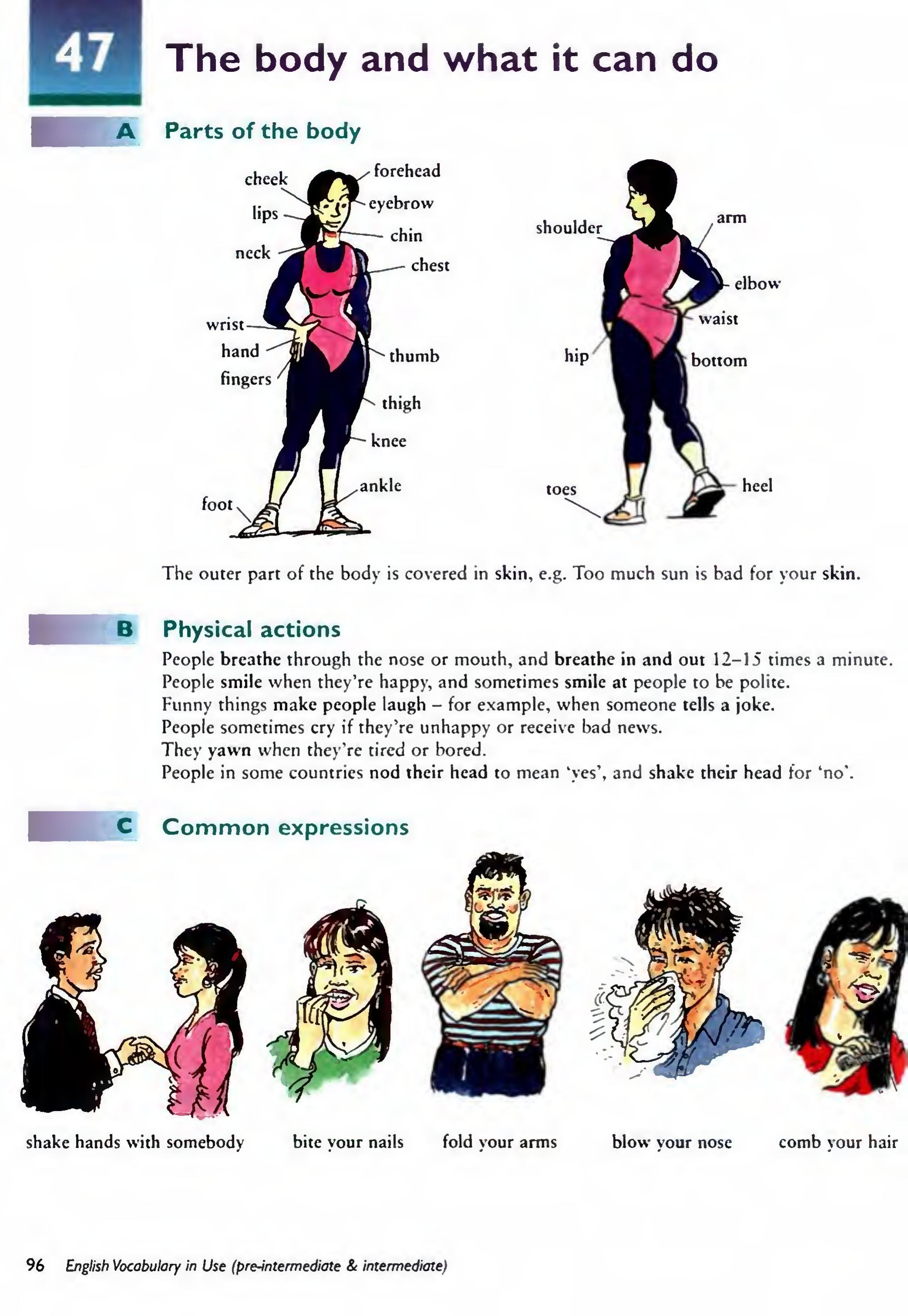 English Vocabulary in Use Pre-Intermediate and Intermediate sayfa 103