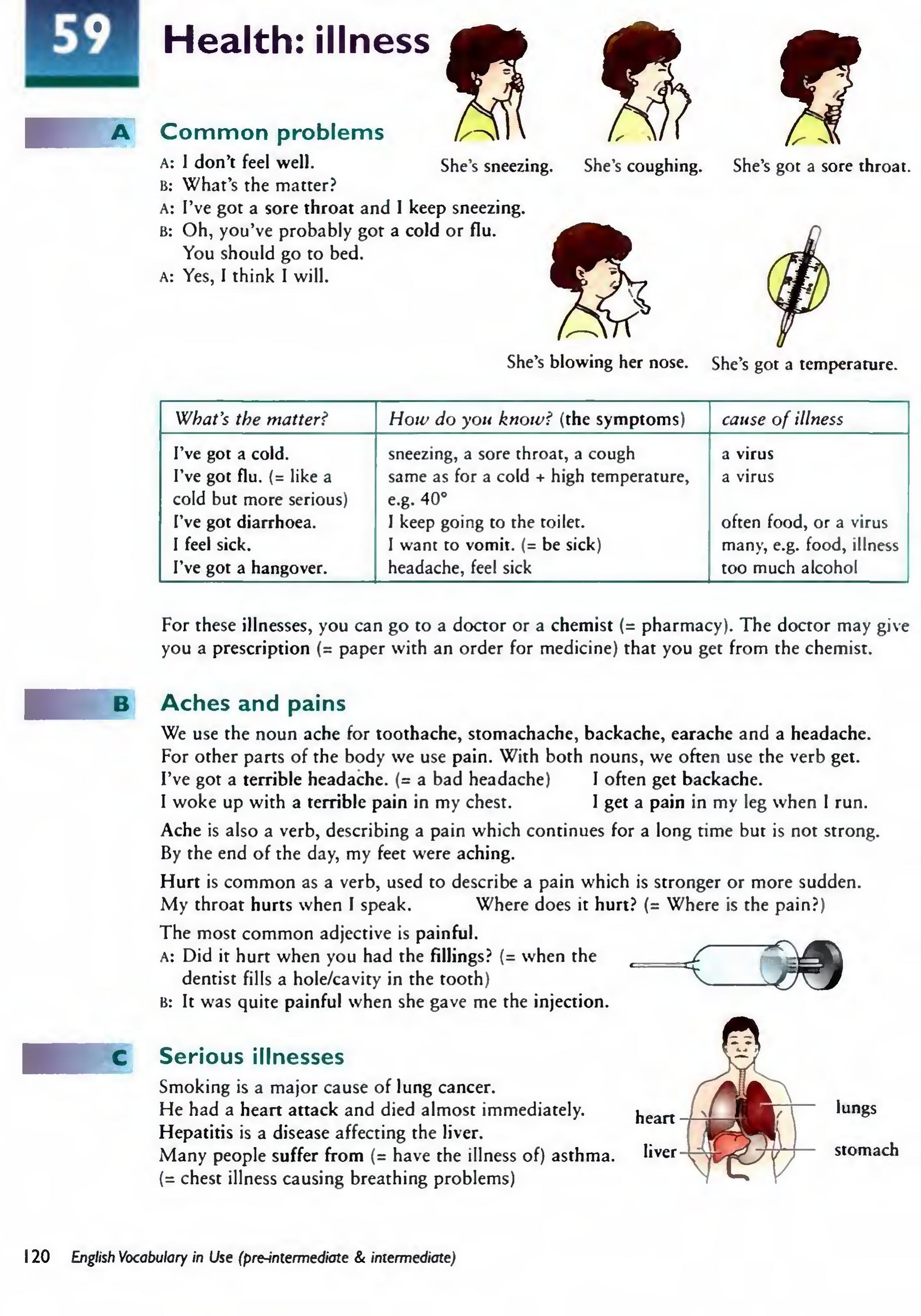 English Vocabulary in Use Pre-Intermediate and Intermediate sayfa 127
