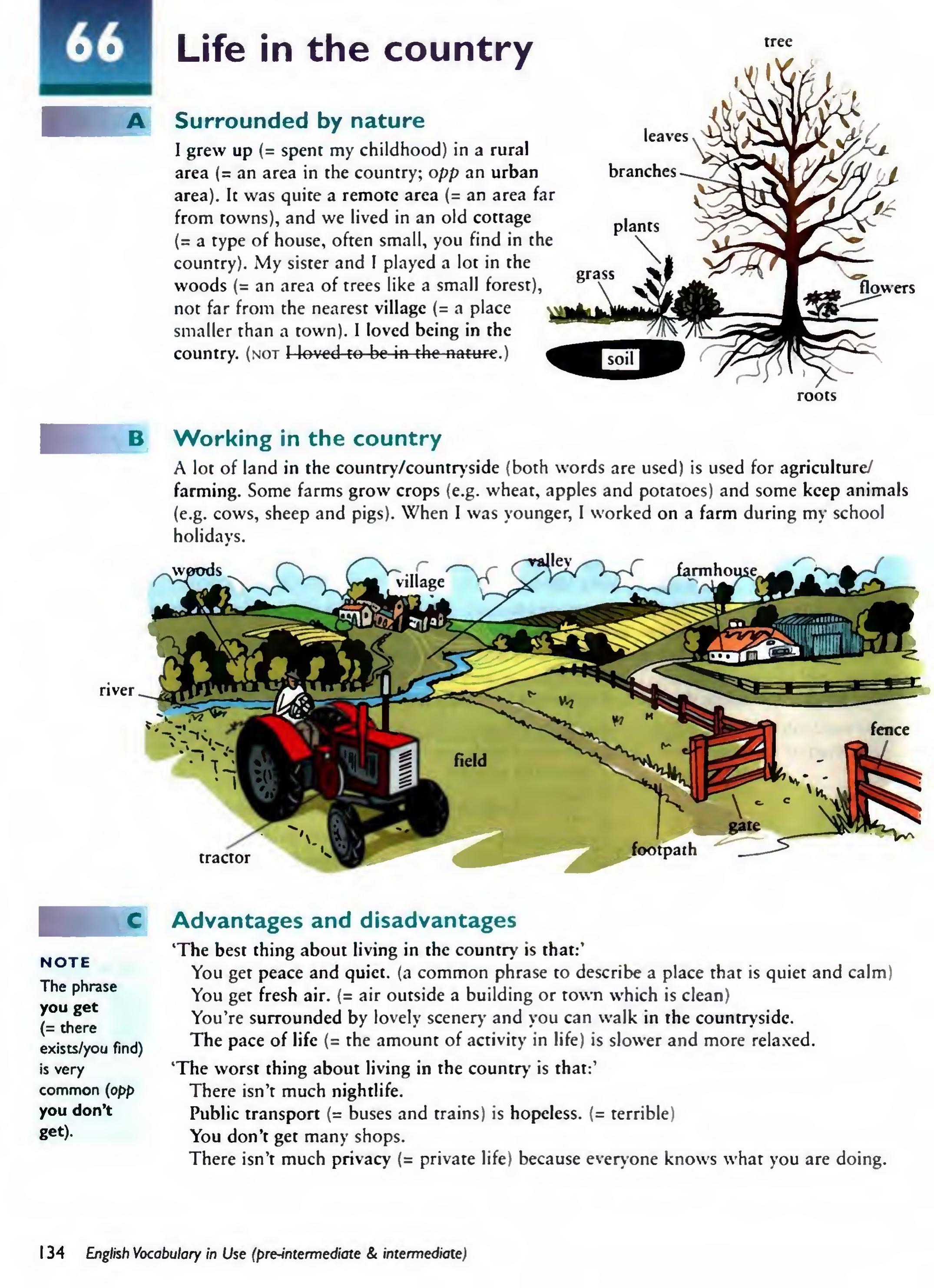 English Vocabulary in Use Pre-Intermediate and Intermediate sayfa 141
